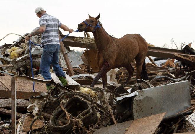 Man leading horse over ruble from destroyed houses